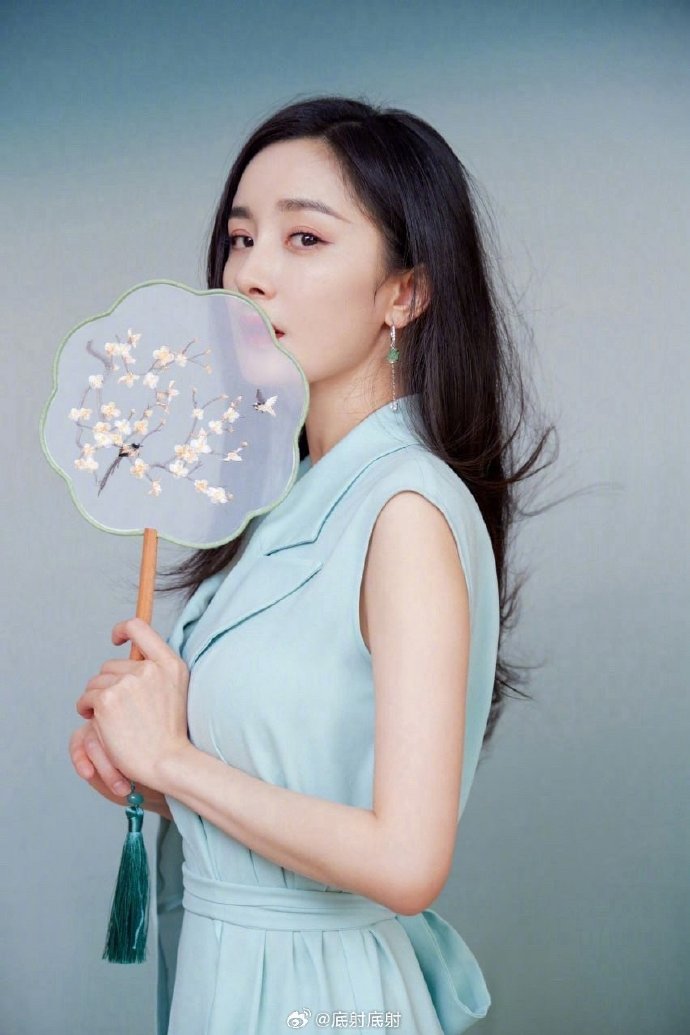 绿皮书